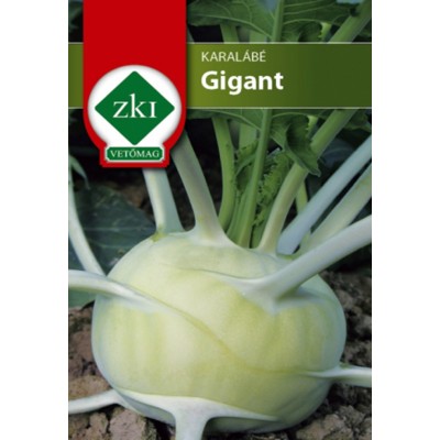 Seminte gulii GIGANT 2G